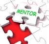 Accelerator participants nationally cite mentor deficiencies