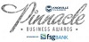 AMS Corporation, Brandon Bruce recognized at “Pinnacle Awards”