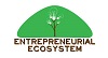 Entrepreneurial Ecosystem 2