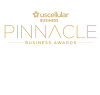 Knoxville Chamber posts video interviews with “Pinnacle Business Award” winners