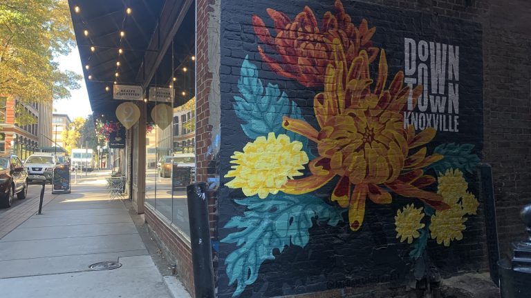 Help vote Knoxville as USA Today’s “Top Art District”