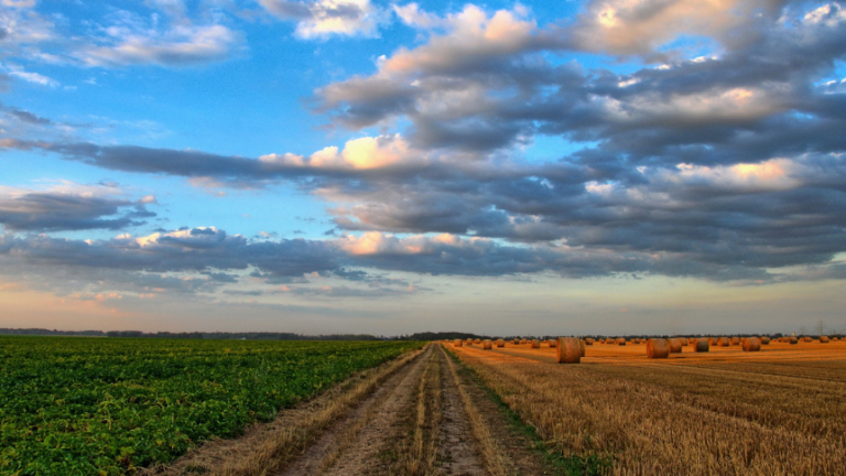 Center for Profitable Agriculture celebrates 25 years of service