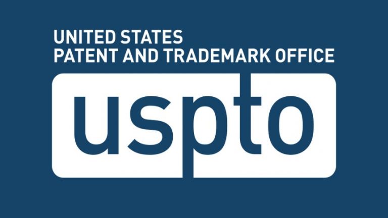 How important are patents for raising capital?
