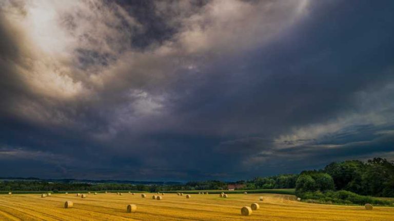 AI is impacting agriculture in three areas