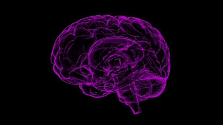 Cincinnati start-up nearing commercialization of devices for brain monitoring