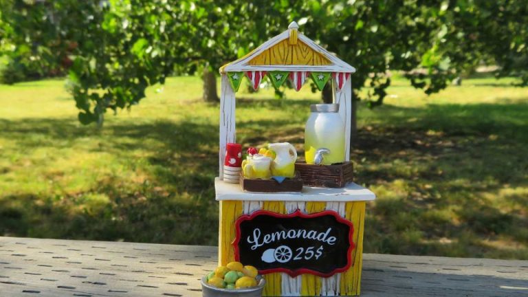Young entrepreneurs frequently start by opening a lemonade stand