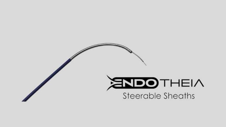 Second dose of good news for EndoTheia Inc.