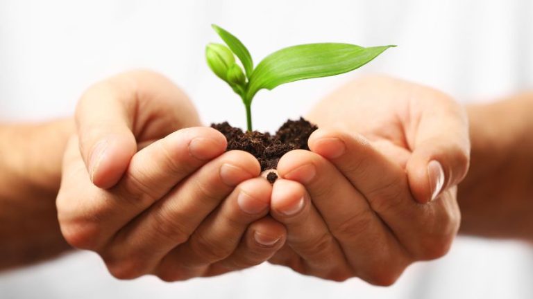 ETSU issues new ‘Go Beyond the Classroom’ mini-grants to impact students, communities