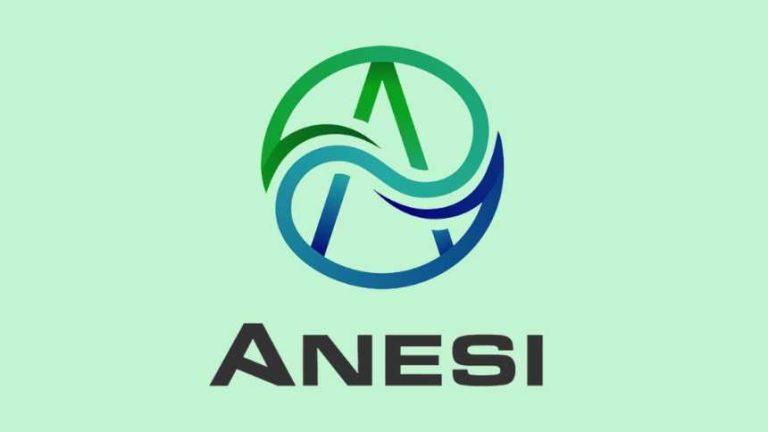 TN company reaches commercialization 15 years after launch