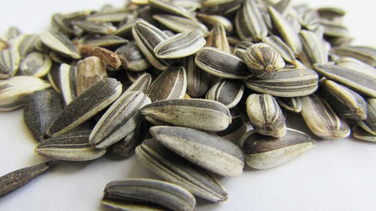 Seed stage investments examined in report from J.P. Morgan