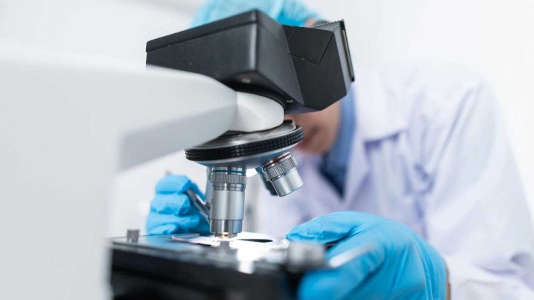 Cumberland Pharmaceuticals reports 2023 earnings