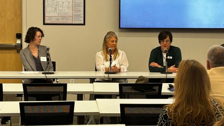 Opportunities in Appalachia program revitalizes downtowns across the region
