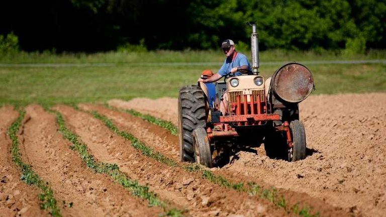 UGA receives grant to train military veterans to start their own farms