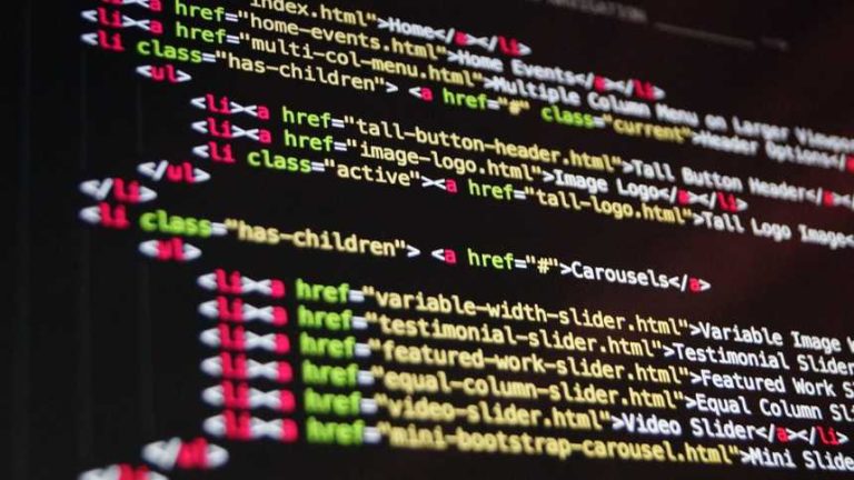 Data Panda launches with niche customer base, supporting store owners
