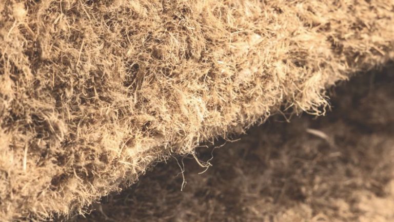 Hempitecture receives $8.42 million for plant in Hawkins County