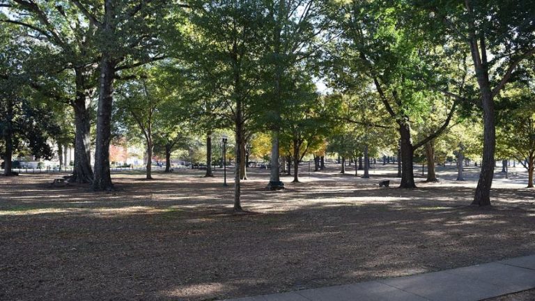 Build In SE casts a spotlight on Oxford, MS