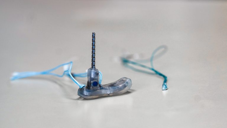 University of Tennessee company, Endolimb wins statewide Scipreneur Challenge