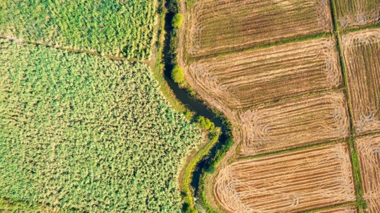 Maryland Technology Council launches Rural Technology Network