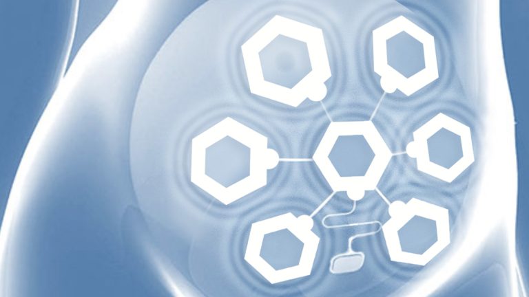 UT Accelerate Fund invests in PreTel, a medtech company focused on prenatal health