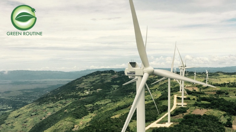 Ryan Ebanks’ Green Routine helps clients evaluate energy decisions and act