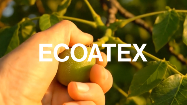 A tough nut to crack | Ecoatex tackles farm waste head-on, turning used shells into tree-free cellulose